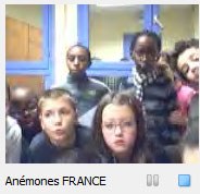 Francia_Anemones.jpg